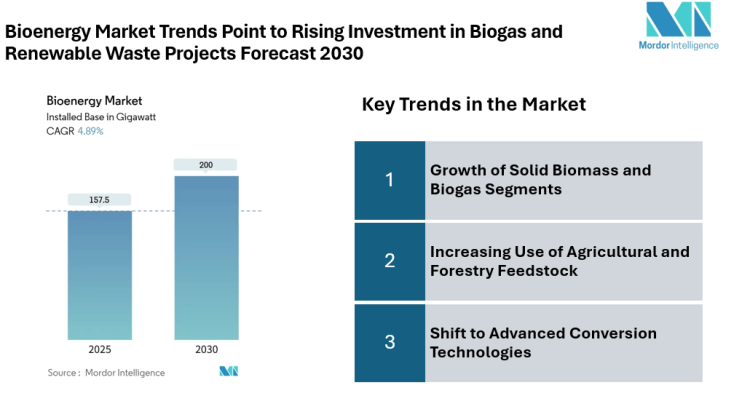 Bioenergy Market to Hit 200 GW by 2030, Driven by Increasing Heat and Fuel Demand, Solid Biomass Growth | Mordor Intelligence