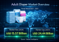 Adult Diaper Market Size to Reach USD 24.44 Billion by 2031: Mordor Intelligence