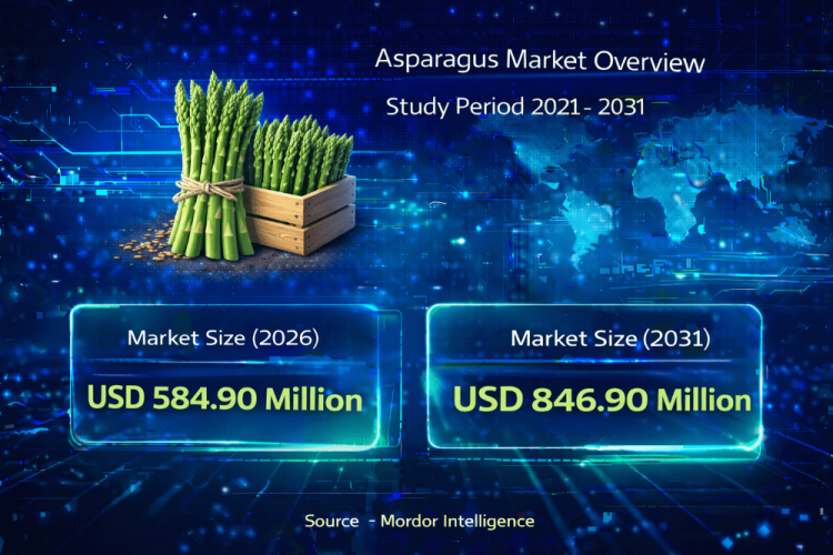 Asparagus Market Size to Reach USD 846.9 Million by 2031: Key Trends Driving Growth