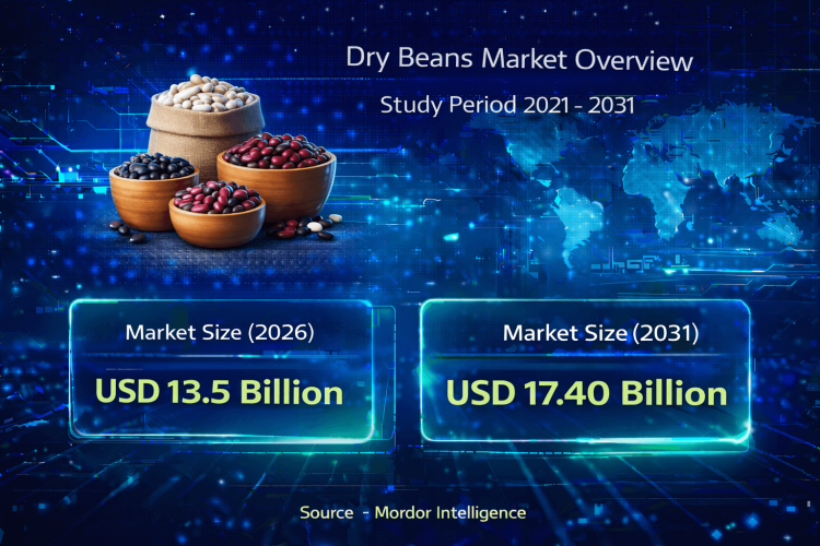 Dry Beans Market Size to Reach USD 17.40 Billion by 2031 – Mordor Intelligence